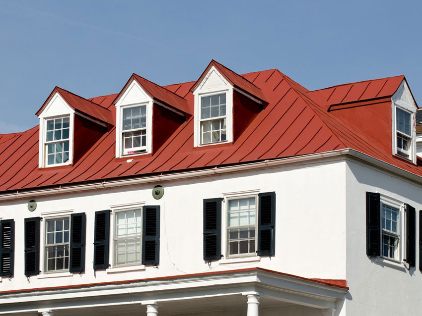Red Dog's Roofing
