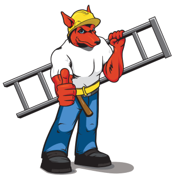 Red Dog